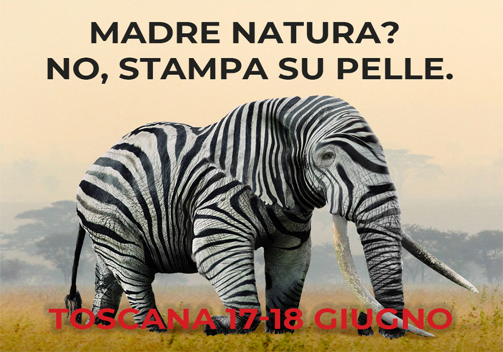 eventi 2021 14