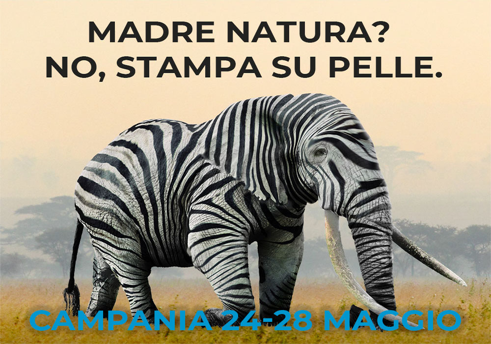 eventi 2021 21